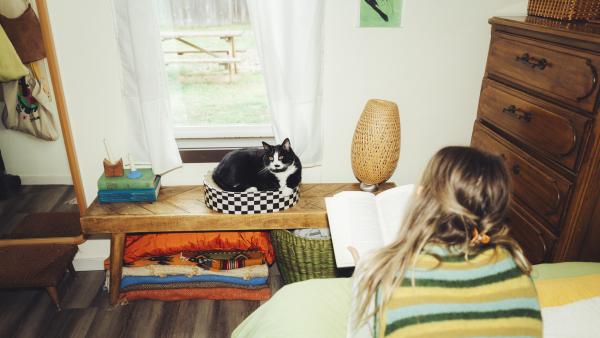 a black cat watches a woman reading