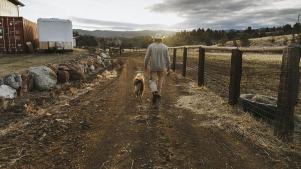 A dog walks with a cowboy on a dirt road