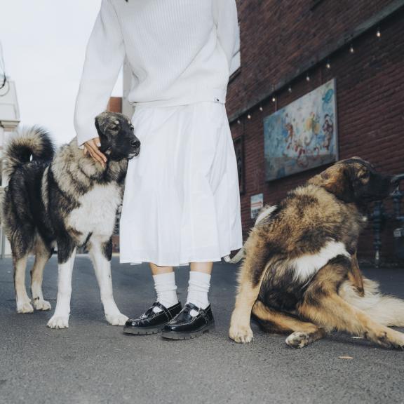 Fluffy dog scratching while standing on street with other dog and owner.