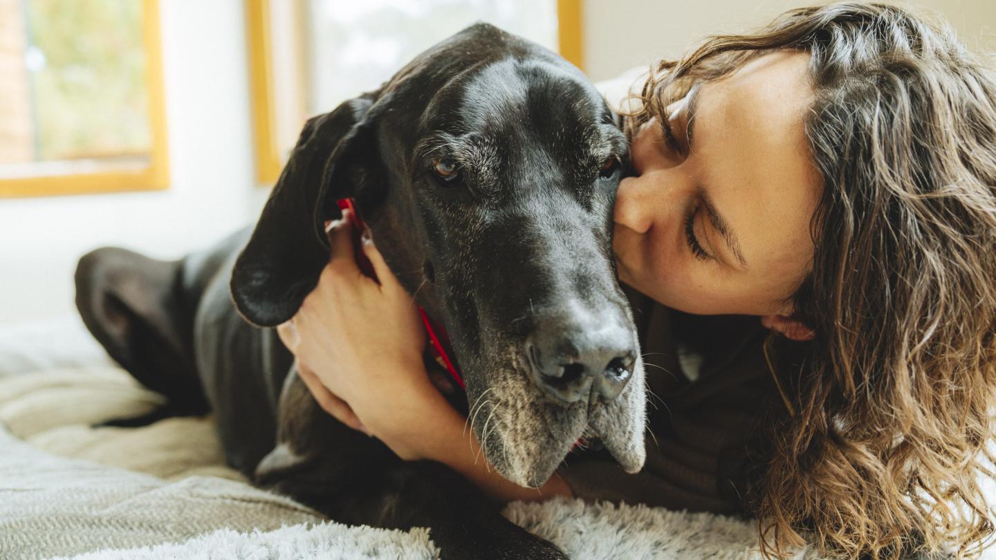 black dog cuddling owner on bed