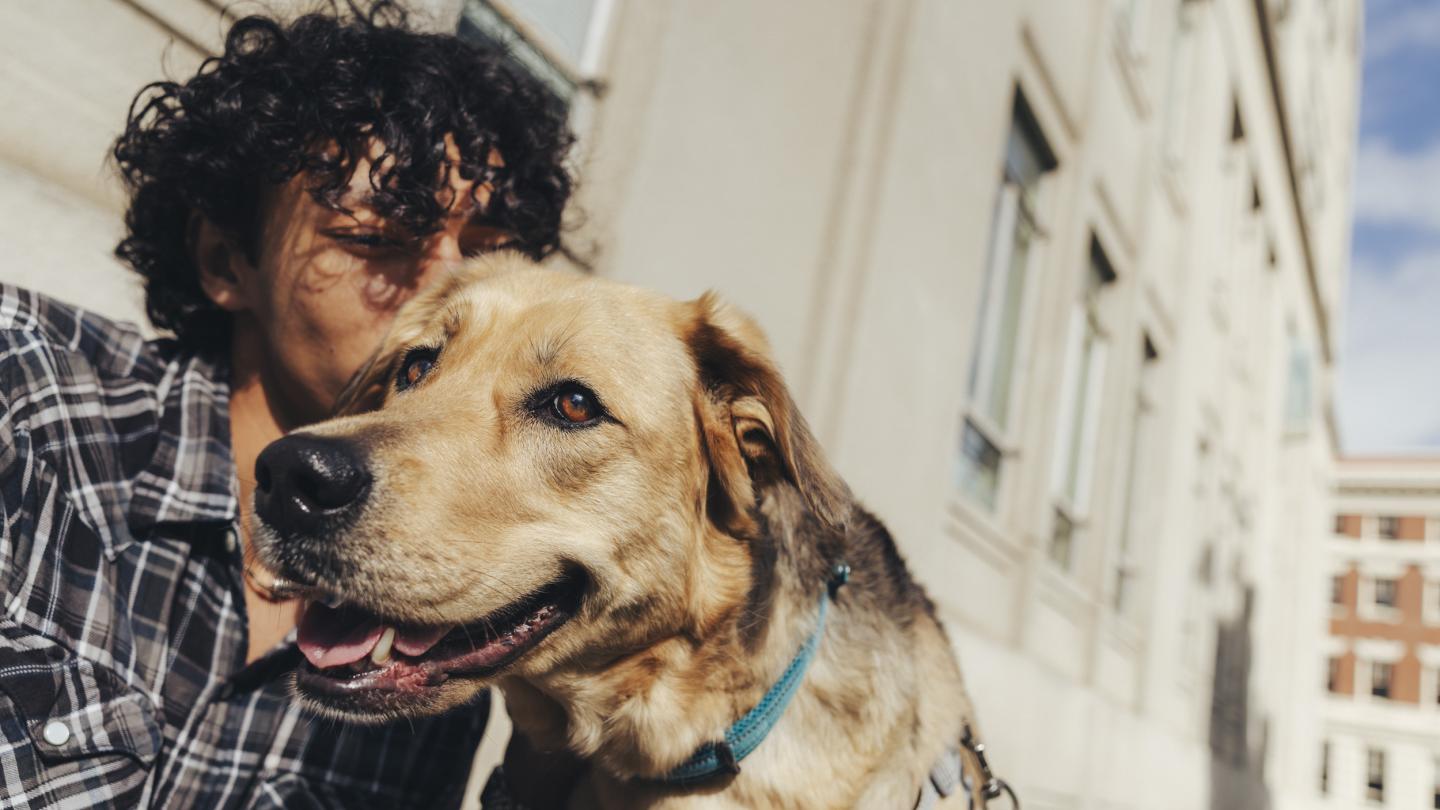 A man and a dog sitting in the city